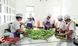 绵阳市“明厨亮灶”工程成效显著，餐饮服务单位覆盖率突破75.5%